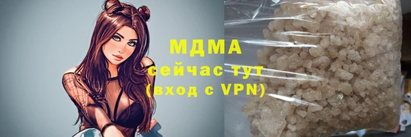 прущие грибы Чита