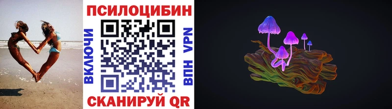 Псилоцибиновые грибы MAGIC MUSHROOMS  Купить закладки  Новозыбков 